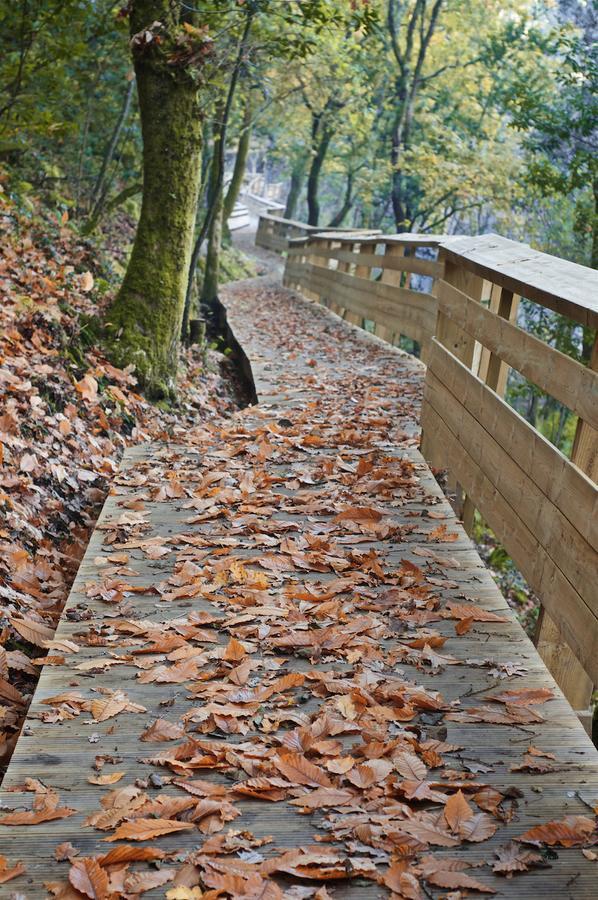 Hotel Rural Da Freita Arouca Zewnętrze zdjęcie